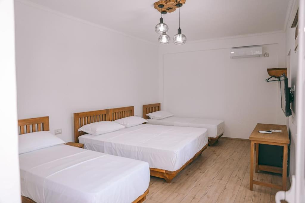 Cereni Guesthouse Berat Zewnętrze zdjęcie