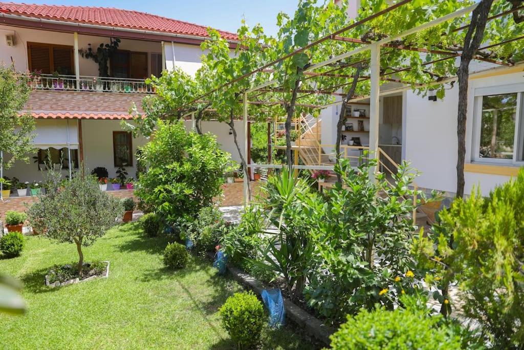 Cereni Guesthouse Berat Zewnętrze zdjęcie