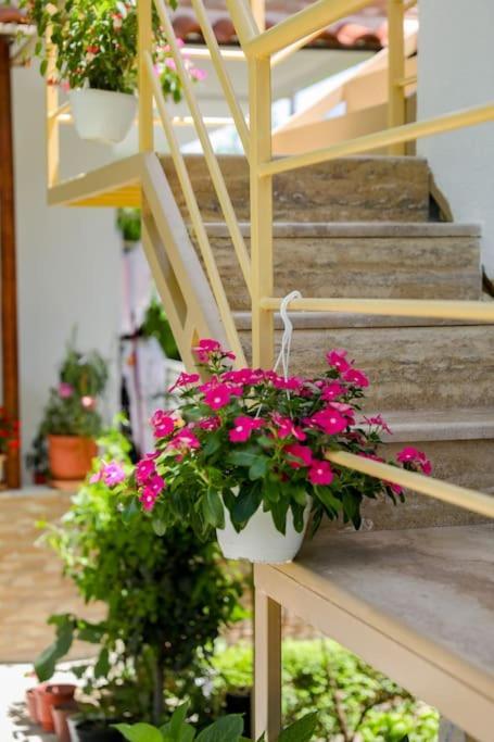 Cereni Guesthouse Berat Zewnętrze zdjęcie