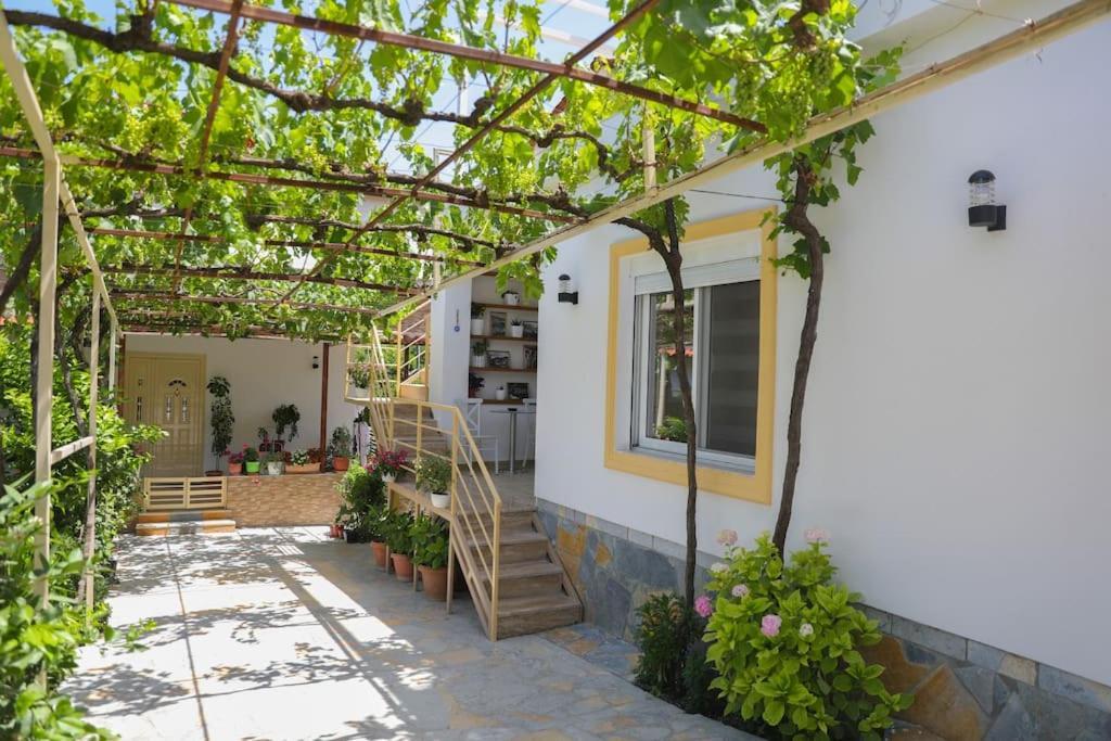 Cereni Guesthouse Berat Zewnętrze zdjęcie